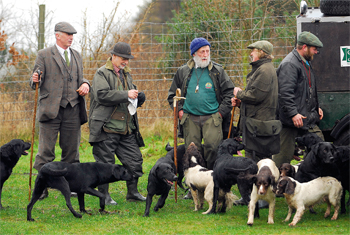 Groups of pickers up.