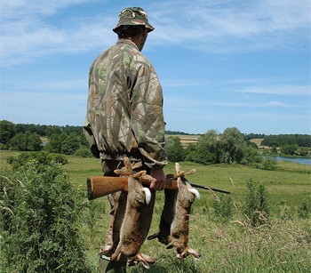 shotgun and rabbits.jpg