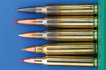223 Remington cartridges bullets.jpg