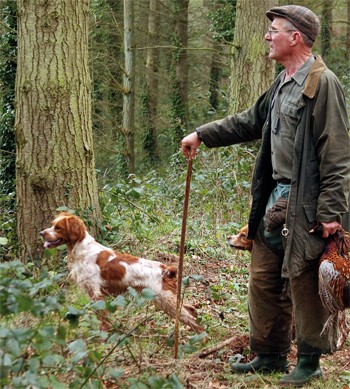picking up gun dog.jpg