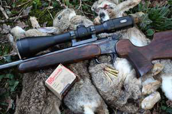22 hornet calibre.jpg