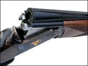 rottweil 410 shotgun.jpg