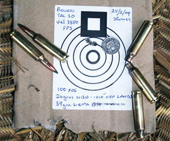 20 calibre target shooting.jpg