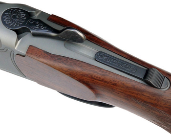 Blaser Model B95 Standard rifle main.jpg