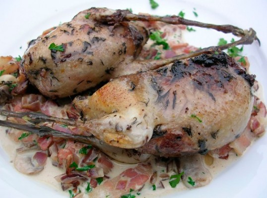 cooking snipe