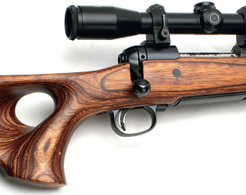 Savage 11 BTH rifle main.jpg