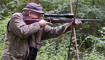 deer stalking rifle sticks.jpg