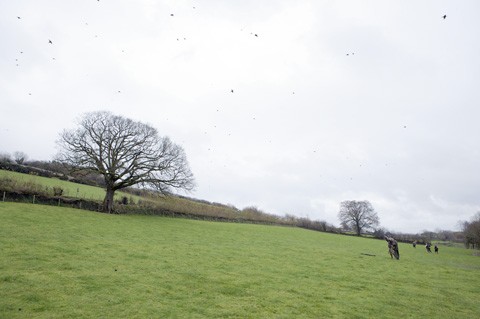 West Molland larger