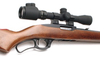 Ruger 96-22m rimfire rifle 350.jpg