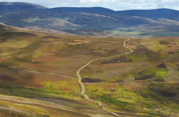 grouse shooting moor.jpg
