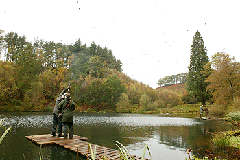 the Sawley shoot