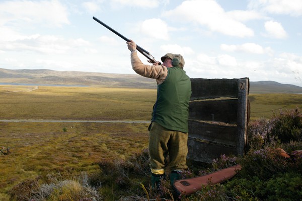 Grouse Shooting