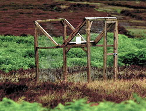 Shaun Allanson was convicted for using a letterbox trap in a pheasant release pen