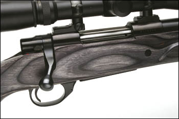 Howa Varmint rifle.jpg