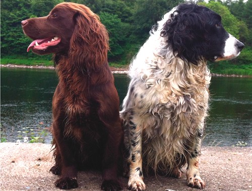 301 Moved Permanently