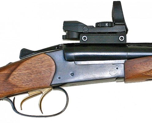 Baikal MP-221 .45-70 double rifle main.jpg