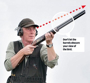 muzzles high bird shooting main.jpg