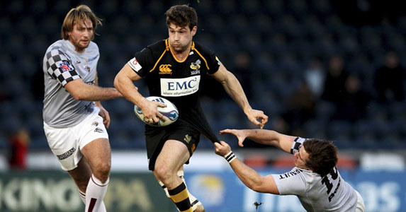 dom waldouck wasps
