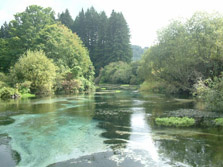 Hamurana Stream