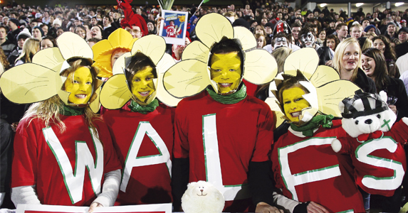 wales fans