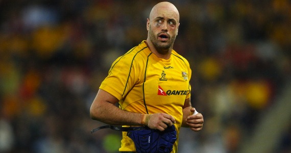 Limited experience: Captain Nathan Sharpe will be the only Wallaby with over 50 caps against Argentina on Saturday