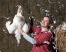 keep your own chickens