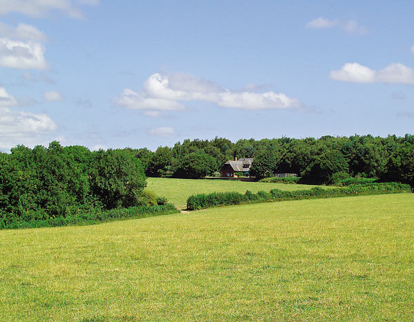 Devon - Sidbury