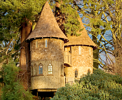 Tree house Tree house
