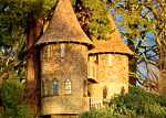 Tree house