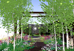 Robert Myers' garden