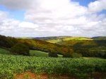 countryside