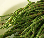 samphire2