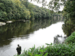 fishing