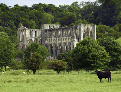 rievaulx rievaulx