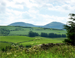 scotland thumb.jpg