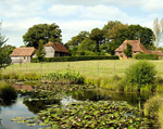 sussex property thumb.jpg
