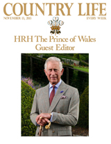 PrinceCoverthumb.jpg
