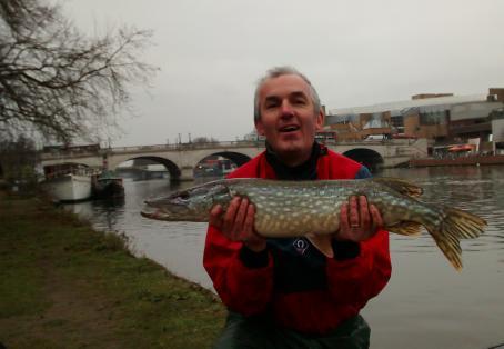 River Thames Kingston Fishing | 10 lb pike kingston upon thames angler s mail River Thames Kingston Fishing | 10 lb pike kingston upon thames angler s mail